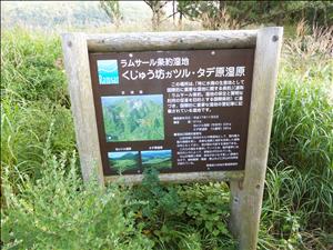 �����T�[����񎼒n